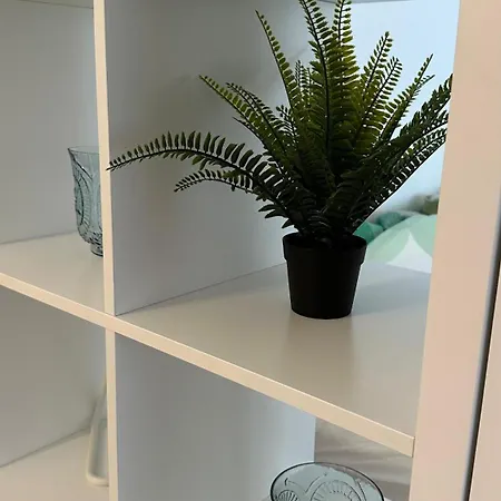 New - Cozy Apartment,kitchen,netflix And
